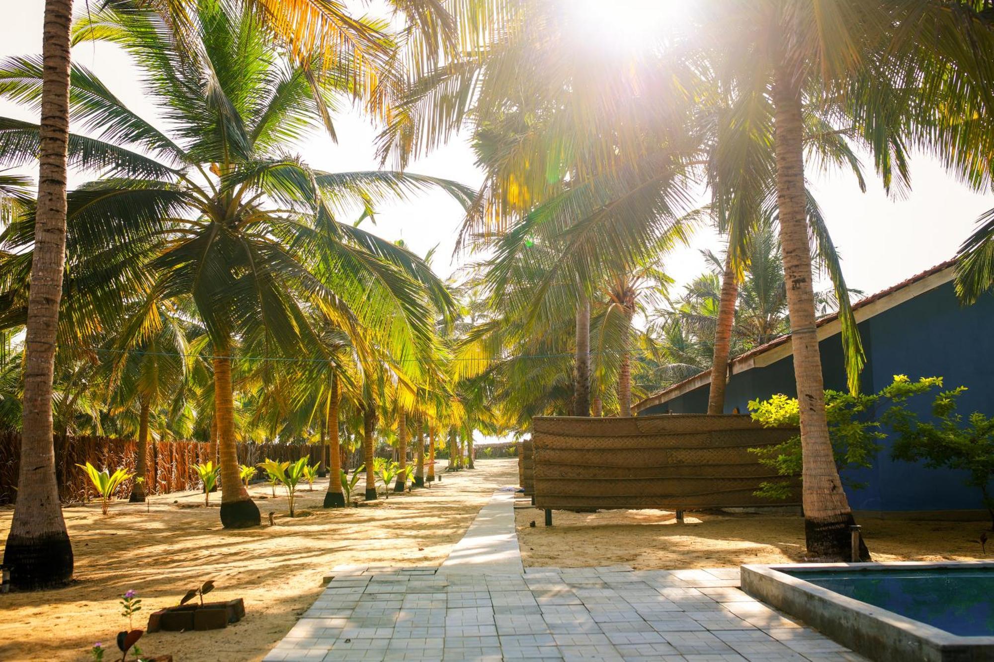 Nayan'S Paradise Kottanitivu 外观 照片